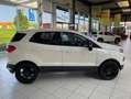 Ford EcoSport 1.0 EcoBoost+Rückfahrkamera+SHZ+ALU+ACC Weiß - thumbnail 6