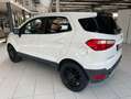 Ford EcoSport 1.0 EcoBoost+Rückfahrkamera+SHZ+ALU+ACC Weiß - thumbnail 4