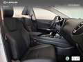 Lexus NX 350h Executive+ 2WD Blanco - thumbnail 22