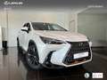 Lexus NX 350h Executive+ 2WD Bílá - thumbnail 12