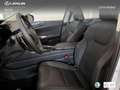 Lexus NX 350h Executive+ 2WD Bílá - thumbnail 15