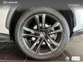 Lexus NX 350h Executive+ 2WD Bílá - thumbnail 10