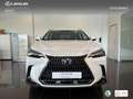 Lexus NX 350h Executive+ 2WD Bílá - thumbnail 4