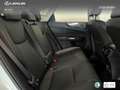 Lexus NX 350h Executive+ 2WD Bílá - thumbnail 7