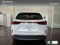 Lexus NX 350h Executive+ 2WD Bílá - thumbnail 5