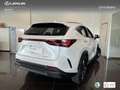 Lexus NX 350h Executive+ 2WD Bílá - thumbnail 2