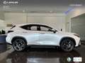 Lexus NX 350h Executive+ 2WD Bílá - thumbnail 3