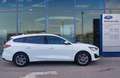 Ford Focus 1.5D 120 CONNECTED TURN Weiß - thumbnail 3