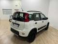 Fiat Panda Panda III 4x4 0.9 t.air t. 4x4 Weiß - thumbnail 4