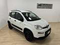 Fiat Panda Panda III 4x4 0.9 t.air t. 4x4 Weiß - thumbnail 2