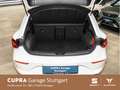 CUPRA Leon 1.5 eTSI DSG 110 kW *Kamera* *Winterpaket* Weiß - thumbnail 14
