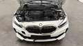 BMW 135 M135i xDrive Aut. Lim. *HUD*Memory* Weiß - thumbnail 13