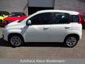 Fiat Panda 0.9 Aut. "Lounge"- 2.Hd./orig. erst 43 TKM Weiß - thumbnail 2