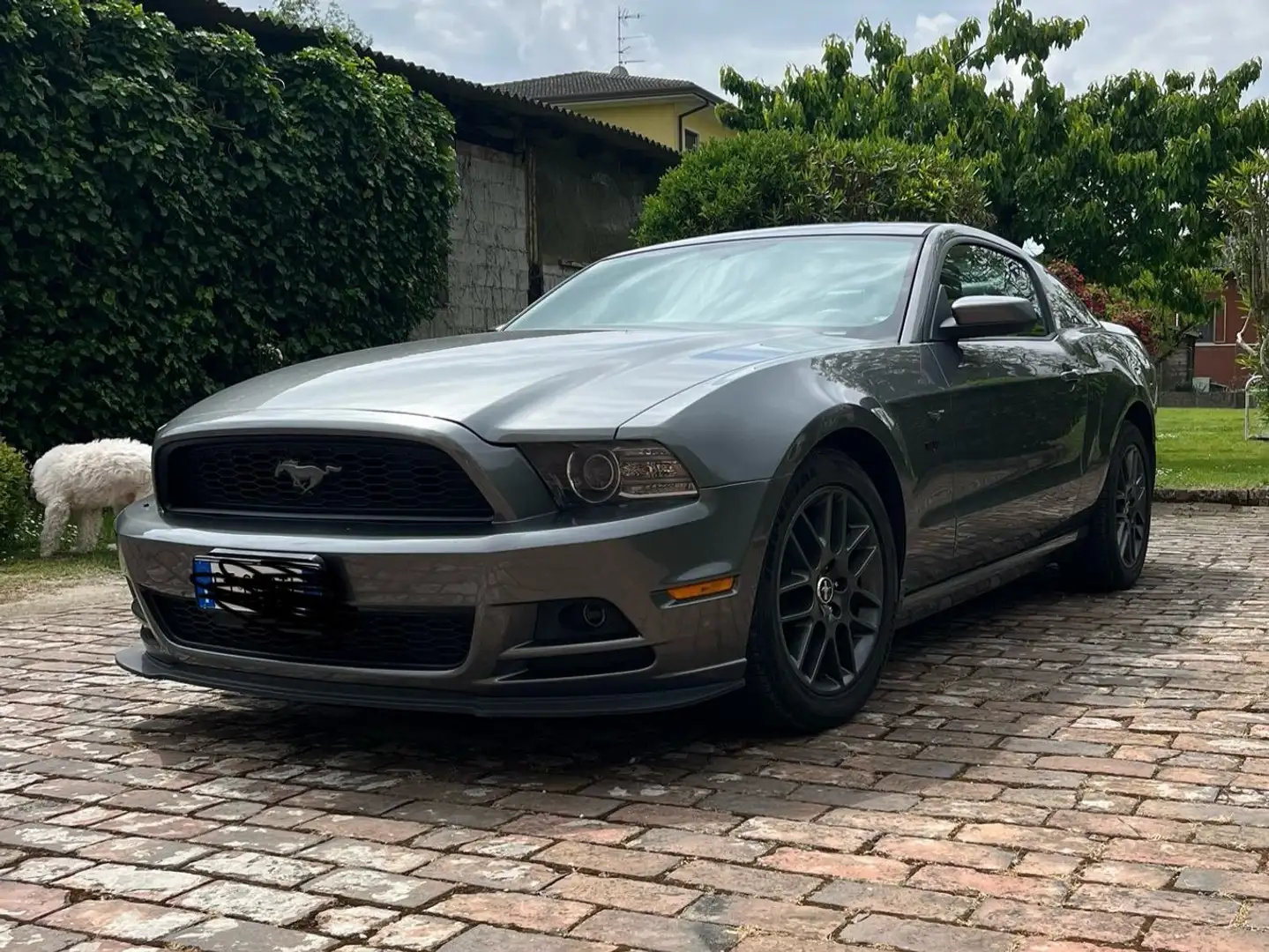 Ford Mustang P8A Grigio - 1
