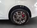 Ford Kuga 2.5 Duratec PHEV ST-LINE X Weiß - thumbnail 24