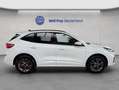 Ford Kuga 2.5 Duratec PHEV ST-LINE X Weiß - thumbnail 7