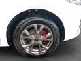 Ford Kuga 2.5 Duratec PHEV ST-LINE X Weiß - thumbnail 23