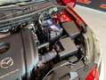 Mazda 2 1.5 Skyactiv-g Black Tech Edition Aut. 66kW Rot - thumbnail 24