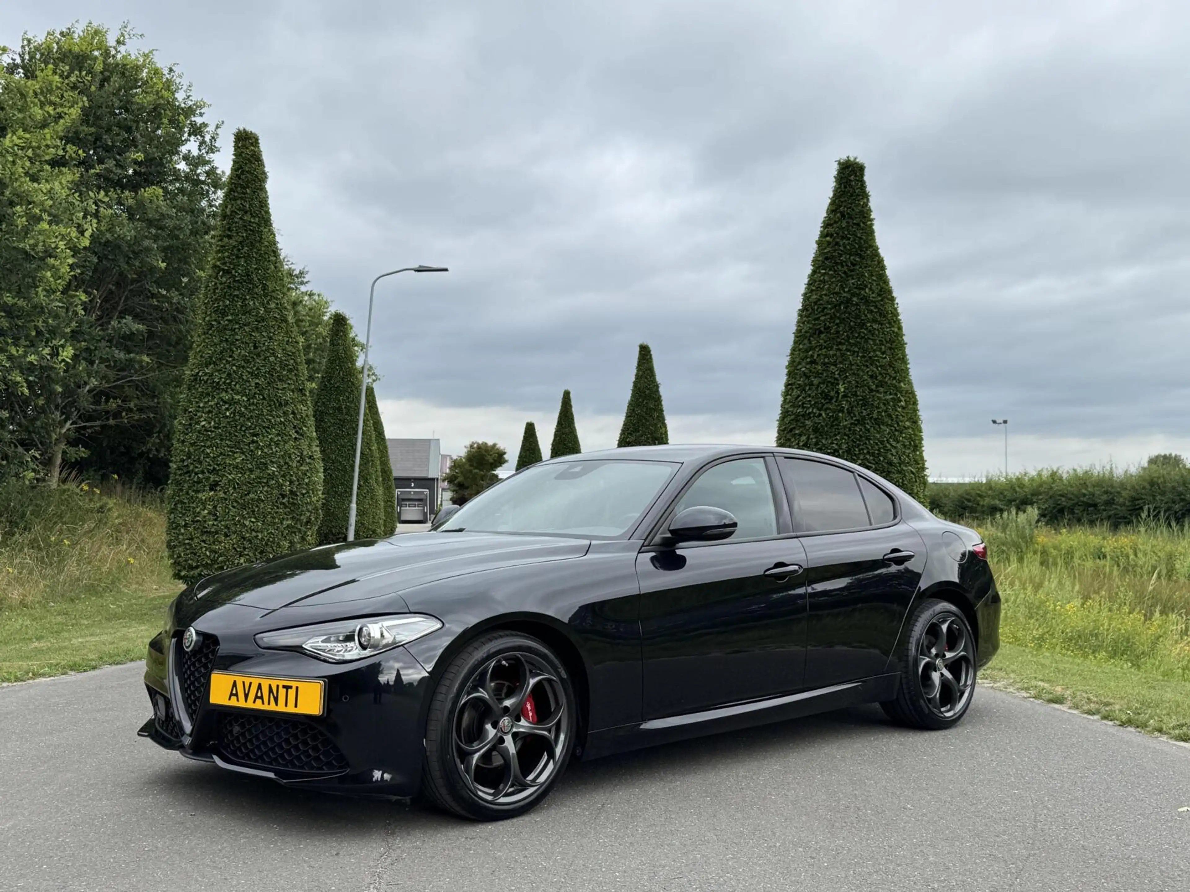 Alfa Romeo Giulia 2.0 T 310pk RWD, 8500km!! 19 inch, Veloce pack — photo 8