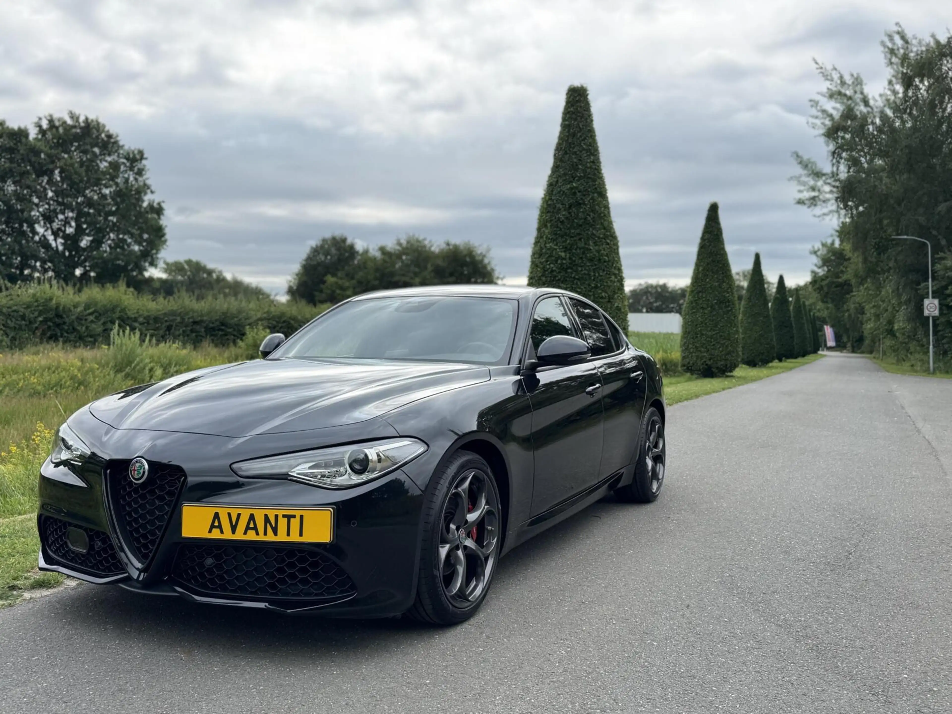 Alfa Romeo Giulia 2.0 T 310pk RWD, 8500km!! 19 inch, Veloce pack — photo 2