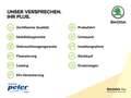 Skoda Scala SCALA DRIVE 1.0 TSI DSG **MATRIX*NAVI AMUNDSEN* Rot - thumbnail 6