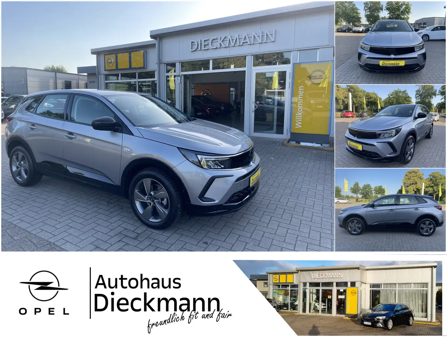 Opel Grandland GS Navi AHK SHZ 360° Cam LED Allwetter Grijs - 1