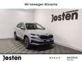 Skoda Karoq Tour 1.5TSI Fahrass+ Pano AHK Komfort Infotain Grijs - thumbnail 1