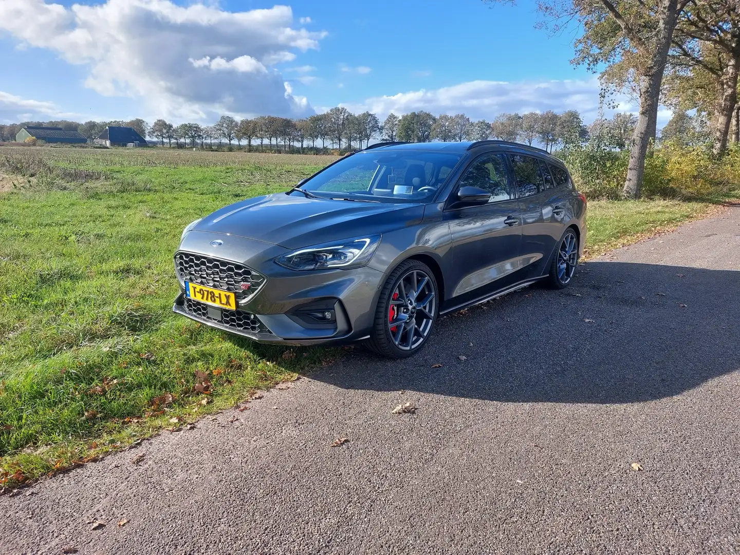 Ford Focus 2.3 EcoBoost ST-3 Grigio - 1