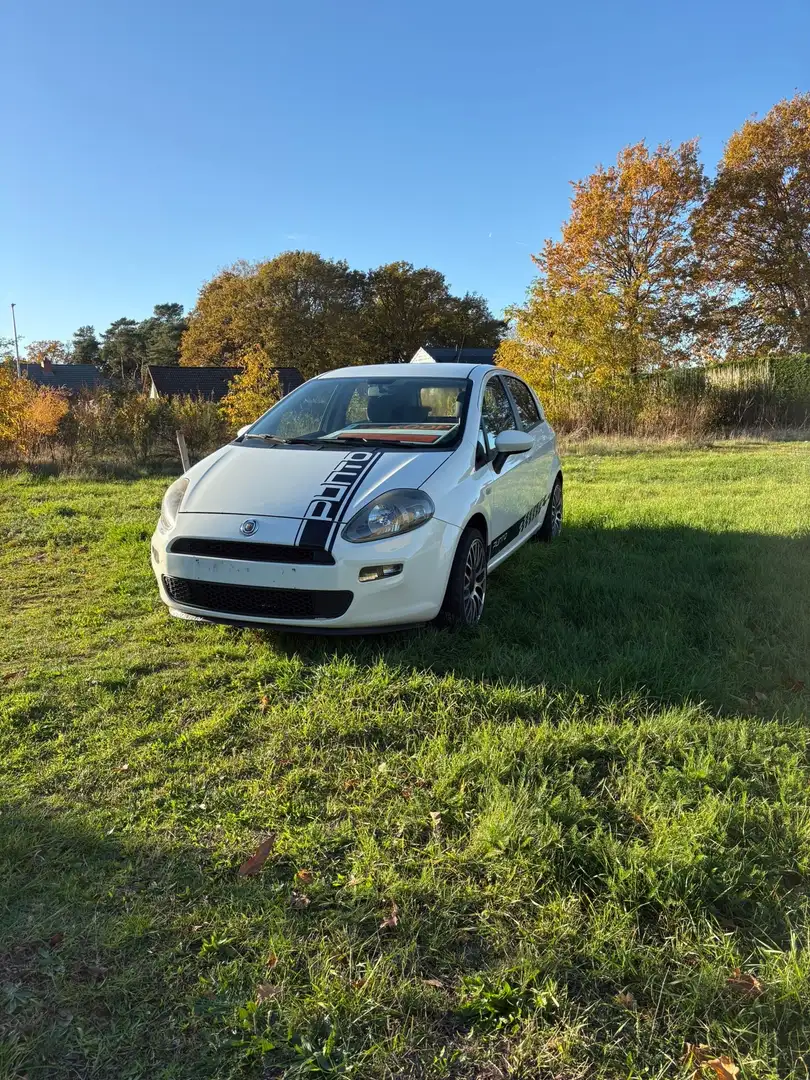 Fiat Punto Evo 1.2 8V Easy - 1