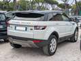 Land Rover Range Rover Evoque 2.2td4 150cv CAMBIO AL VOLANTE Bianco - thumbnail 3