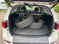 Kia Sorento GT-Line 4WD | HUD | Memory | 360° Blanco - thumbnail 11
