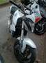 Honda CB 1000 R Bianco - thumbnail 5