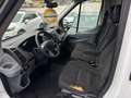Ford Transit Kasten 350 L2 Trend*AHK*KLIMA*TEMPOMAT* White - thumbnail 13