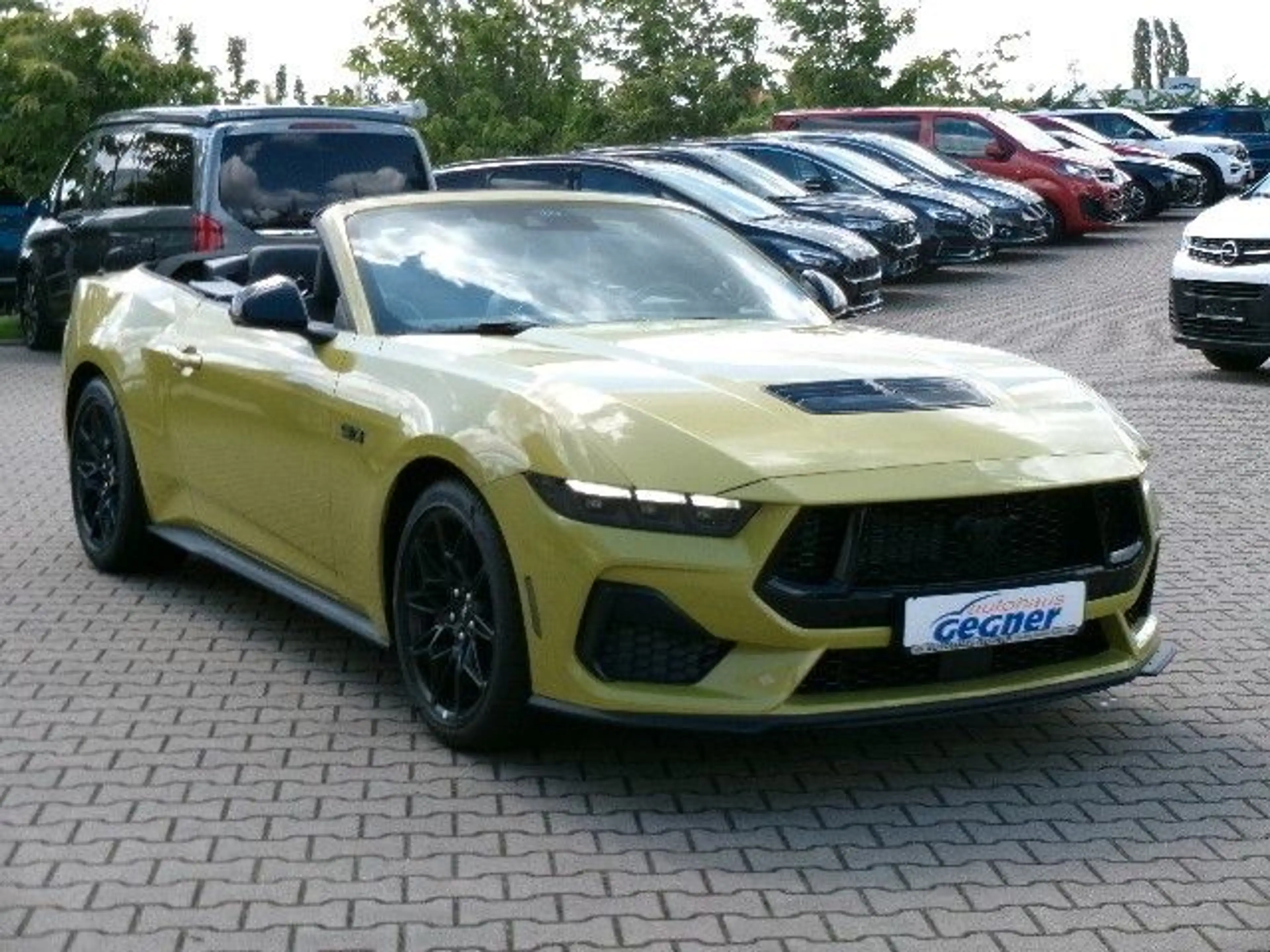Ford Mustang GT Cabrio AT 5.0L V8 NitePony Magneride — photo 4