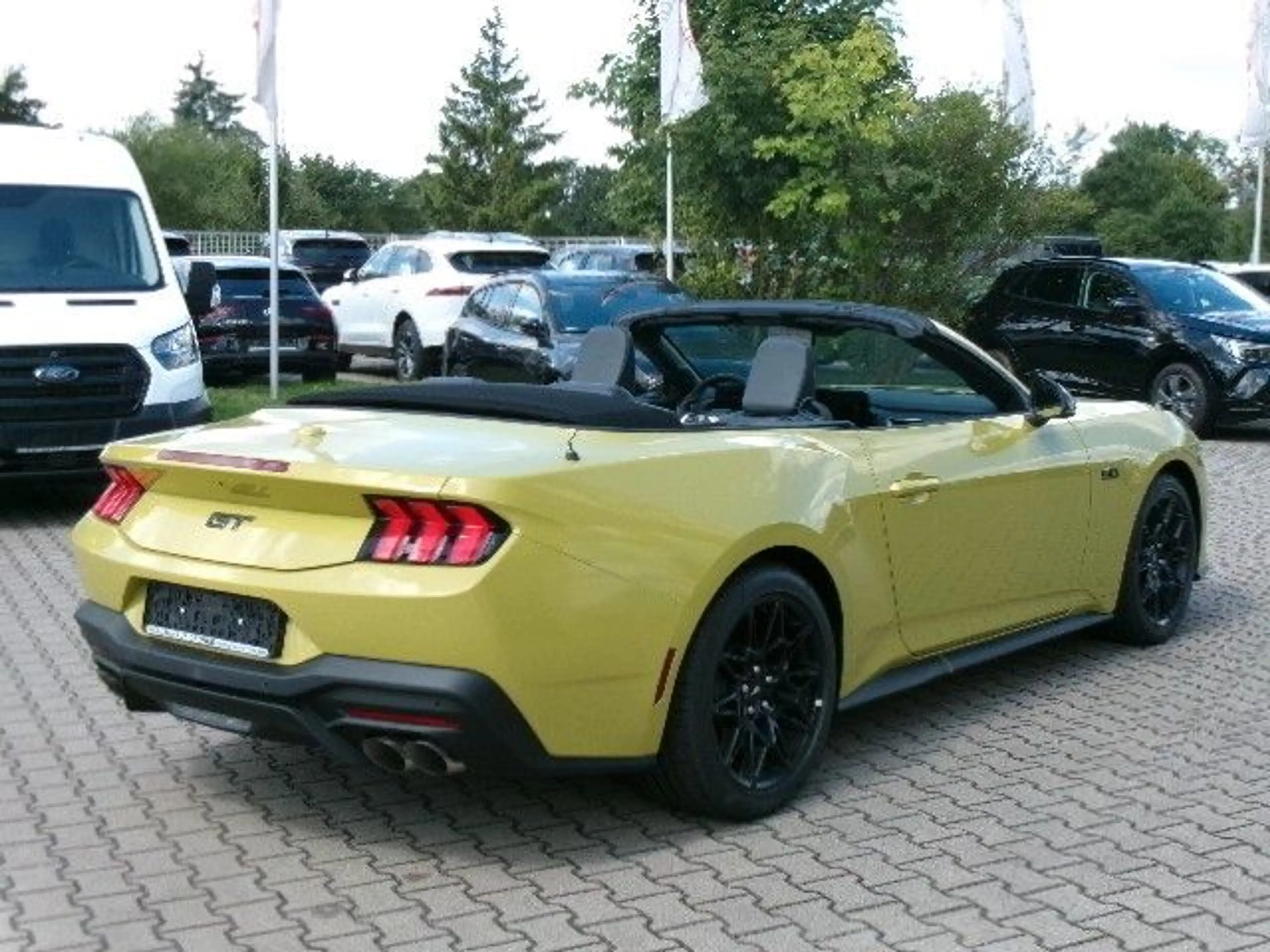 Ford Mustang GT Cabrio AT 5.0L V8 NitePony Magneride — photo 3