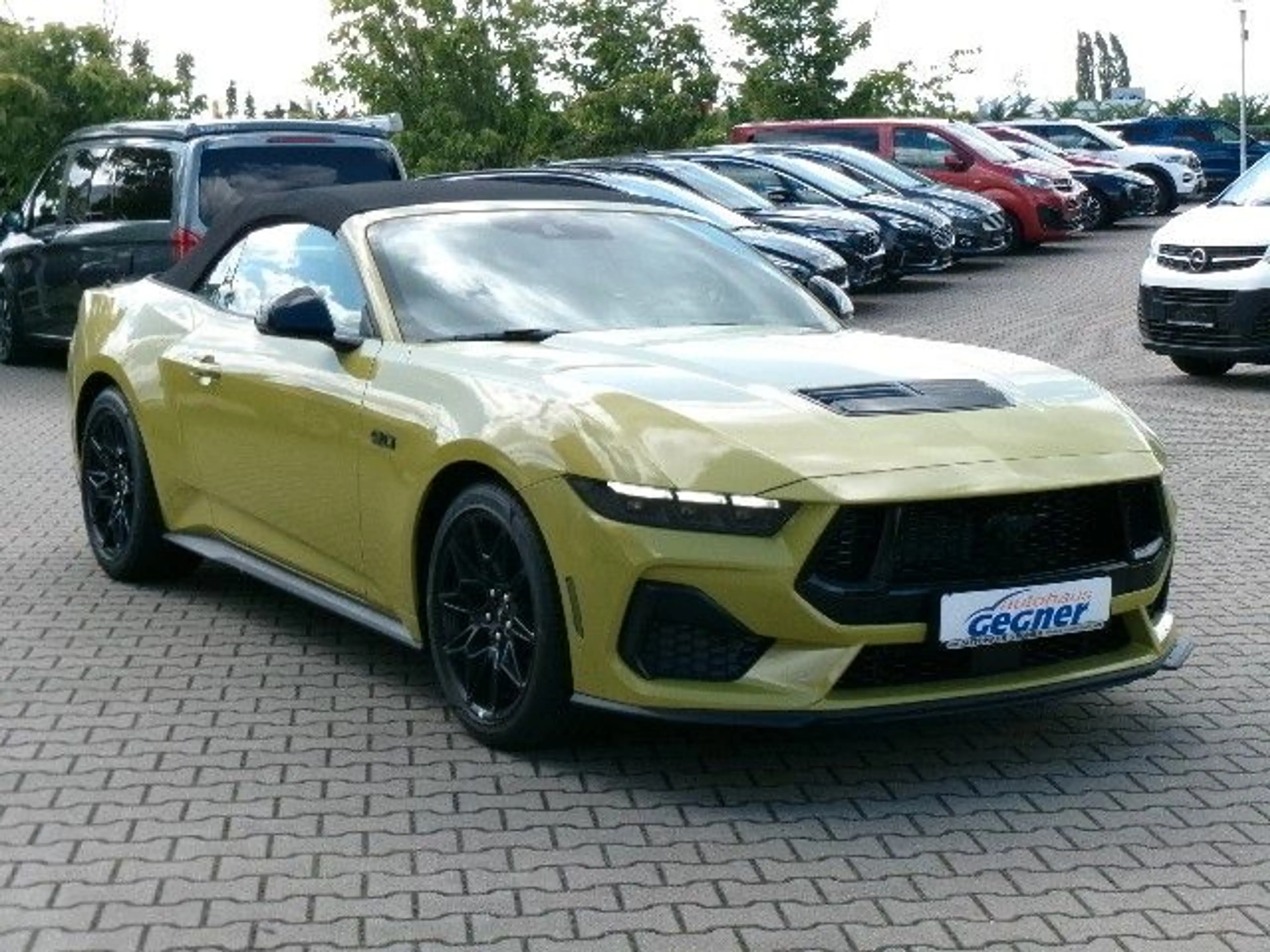 Ford Mustang GT Cabrio AT 5.0L V8 NitePony Magneride — photo 8