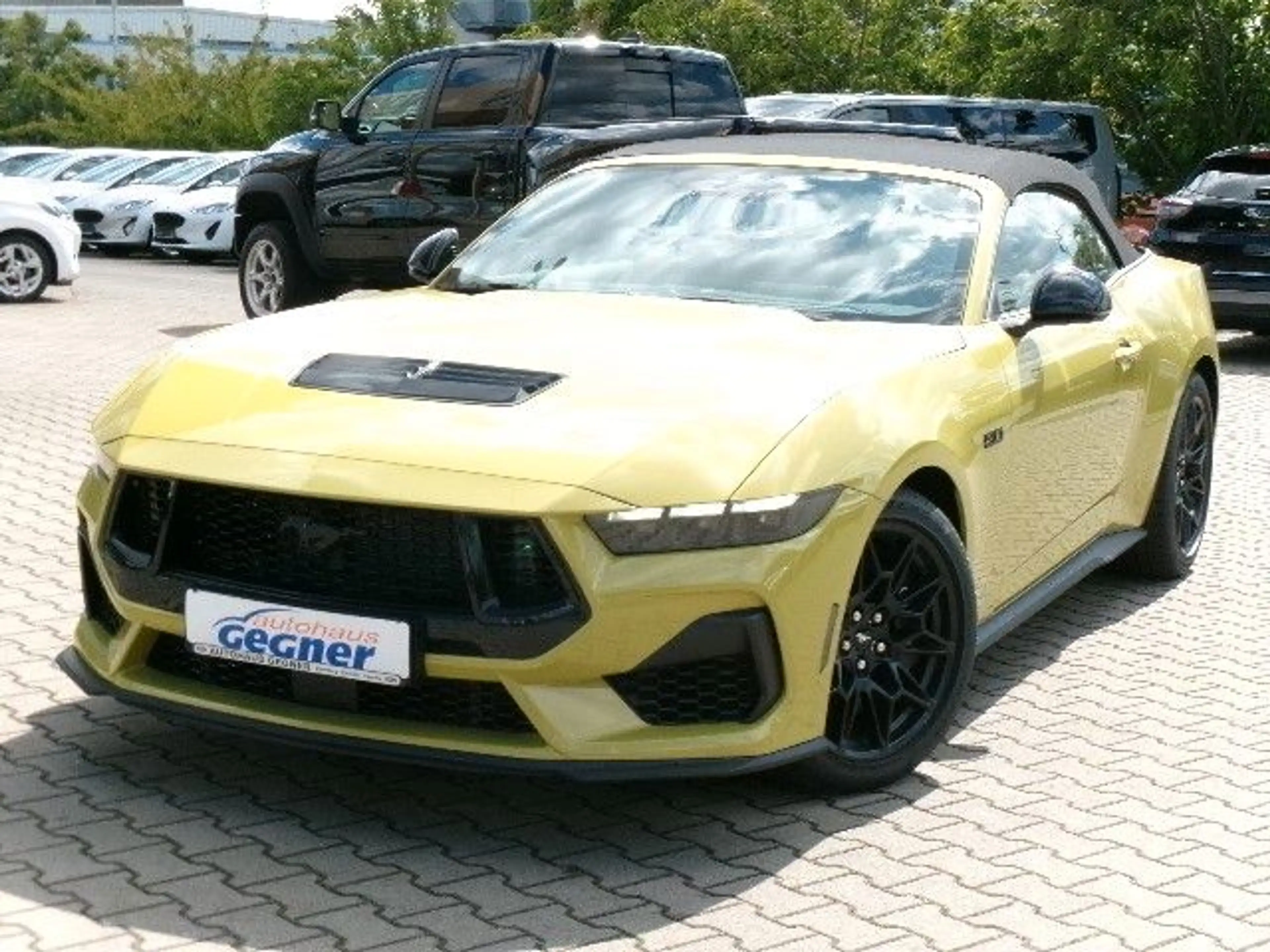 Ford Mustang GT Cabrio AT 5.0L V8 NitePony Magneride — photo 5