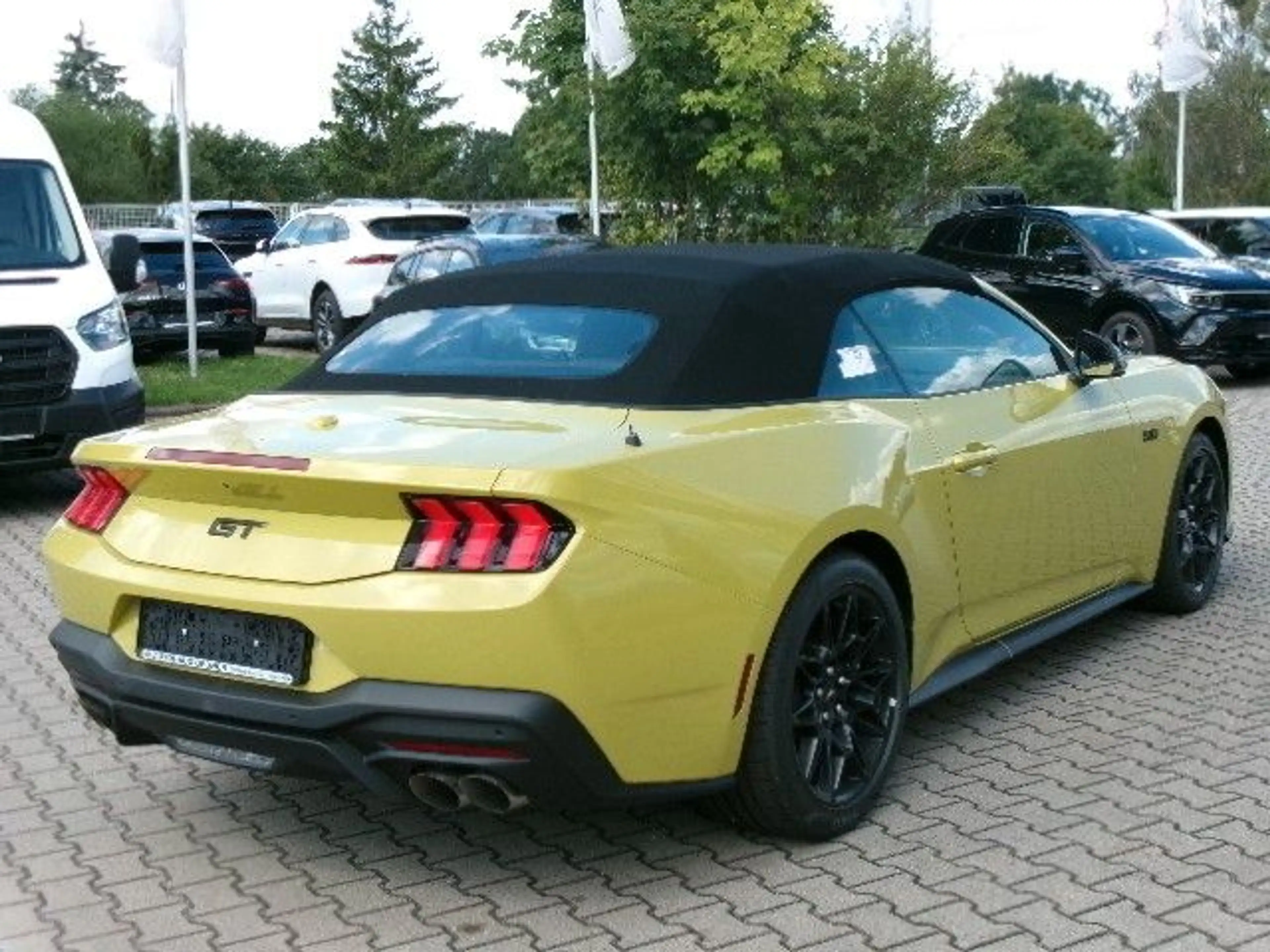 Ford Mustang GT Cabrio AT 5.0L V8 NitePony Magneride — photo 7