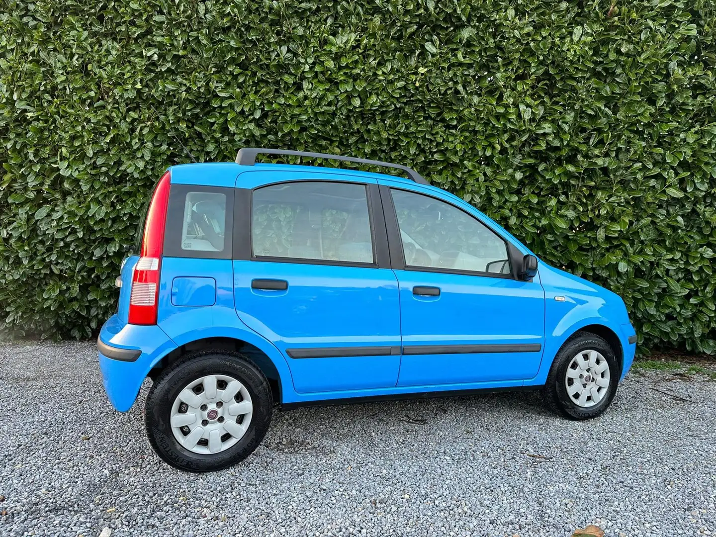 Fiat Panda 1.2 Dynamic | NIEUWE APK | PANO | ELEKTRI PAKKET Blu/Azzurro - 2