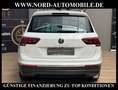 Volkswagen Tiguan Life ACTIVE 2.0 TDI DSG Matrix/AHK/Kamera Active Weiß - thumbnail 9