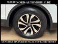 Volkswagen Tiguan Life ACTIVE 2.0 TDI DSG Matrix/AHK/Kamera Active Weiß - thumbnail 12