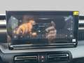 Citroen C3 Aircross Plus Grau - thumbnail 17
