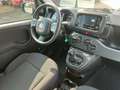 Fiat Panda 1.0 FireFly S&S Hybrid City Cross Zwart - thumbnail 15