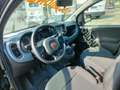 Fiat Panda 1.0 FireFly S&S Hybrid City Cross Zwart - thumbnail 12