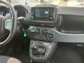 Fiat Panda 1.0 FireFly S&S Hybrid City Cross Zwart - thumbnail 23