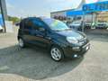 Fiat Panda 1.0 FireFly S&S Hybrid City Cross Zwart - thumbnail 3