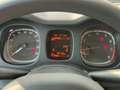 Fiat Panda 1.0 FireFly S&S Hybrid City Cross Zwart - thumbnail 24