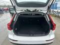 Volvo V60 Cross Country V60 Cross 2.0 b4 Business Pro awd auto - GE939CH Bianco - thumbnail 12