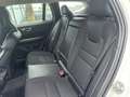 Volvo V60 Cross Country V60 Cross 2.0 b4 Business Pro awd auto - GE939CH Bianco - thumbnail 11
