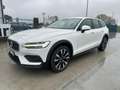 Volvo V60 Cross Country V60 Cross 2.0 b4 Business Pro awd auto - GE939CH Bianco - thumbnail 2